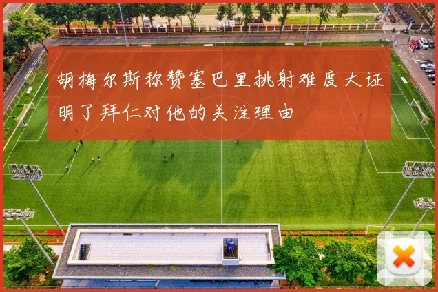 胡梅尔斯称赞塞巴里挑射难度大证明了拜仁对他的关注理由